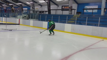 SL Transformer Hockey Pylon 